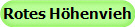 Rotes H�henvieh